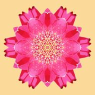 Circular pattern pink flower with yellow stamens decoration