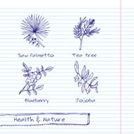 Handdrawn Illustration - Health and Nature Set N24