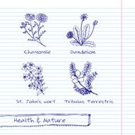 Handdrawn Illustration - Health and Nature Set N25