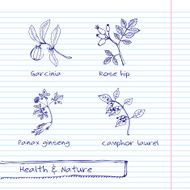 Handdrawn Illustration - Health and Nature Set N26