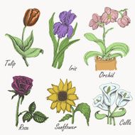 Set of colored flowers