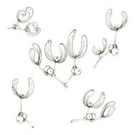 Set of christmas mistletoe branches for decoration