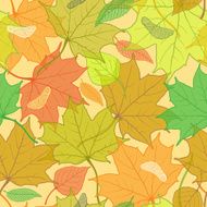 Autumn pattern with fallen leaves
