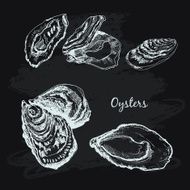 oysters N3