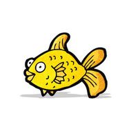 Cartoon Goldfish N24