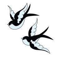 swallows N2