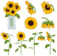 Sunflowers N3