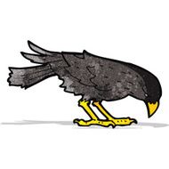 Cartoon Crow N51
