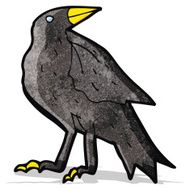 Cartoon Crow N52