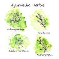 Handdrawn set - Ayurvedic Herbs N3