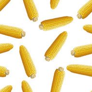 corn vector seamless pattern N2