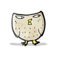 Cartoon Owl N230