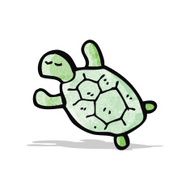 Cartoon Tortoise N81