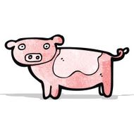 Cartoon Pig N86