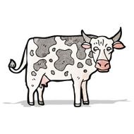 Cartoon Cow N136