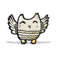 Cartoon Little Owl N33