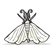 Cartoon Moth N12