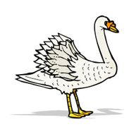 swan illustration N7