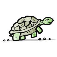 Cartoon Tortoise N82