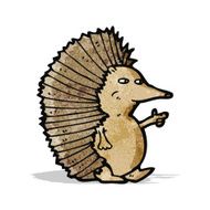 Cartoon Hedgehog N58
