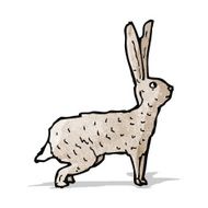 hare illustration N5