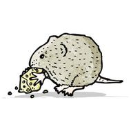 mouse and cheese illustration N4