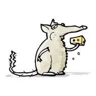 cartoon rat eating cheese N4