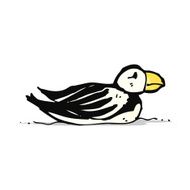 Puffin Cartoon N5