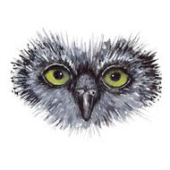 Face owl concept design Bird are isolated on white background