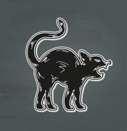 black angry cat