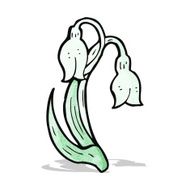 cartoon snowdrop N10