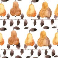 pears N2