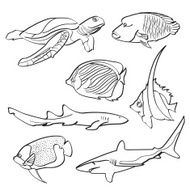 Fishes Collection N2