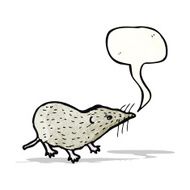shrew illustration N11