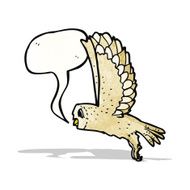 cartoon flying owl N5