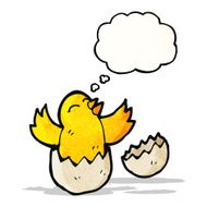 hatching chick with thought bubble N6