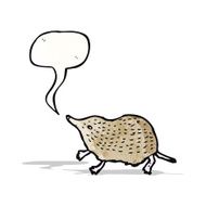 shrew illustration with speech bubble N3