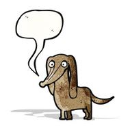 little dog with speech bubble N11