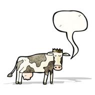 Cartoon Cow N138