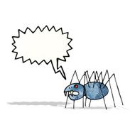 child's drawing of a spider N2