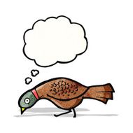 cartoon grouse N5