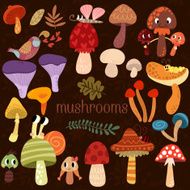 Bright different types of mushrooms set in vector