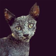 Cat geometric design