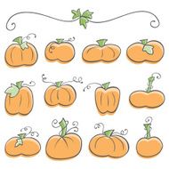 Doodle Pumpkin Elements