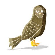 Cartoon Owl N236