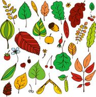 vector set of leaves