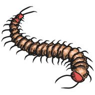 centipede N3