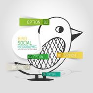 Vector drawn social bird design and infographics