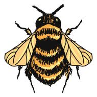 bumblebee N2