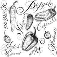 Chili peppers